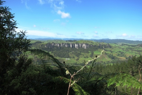 Mangaotaki Valley