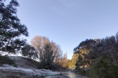 Frosty Morning