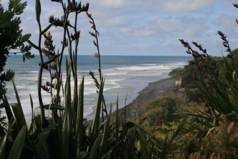 Mokau Beach North