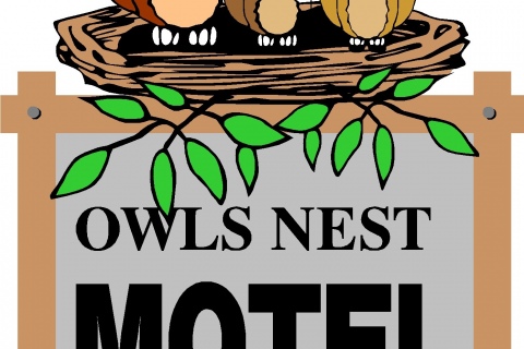 Owls Nest Logo