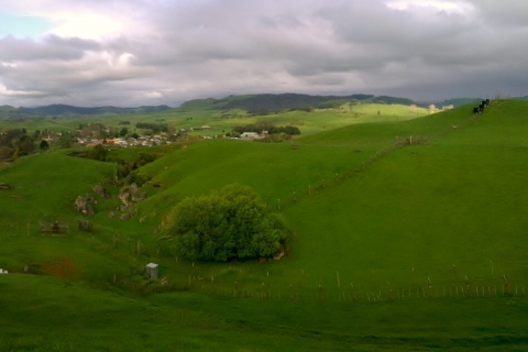 Views Over Piopio