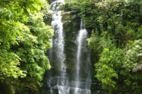 Waitanguru Falls